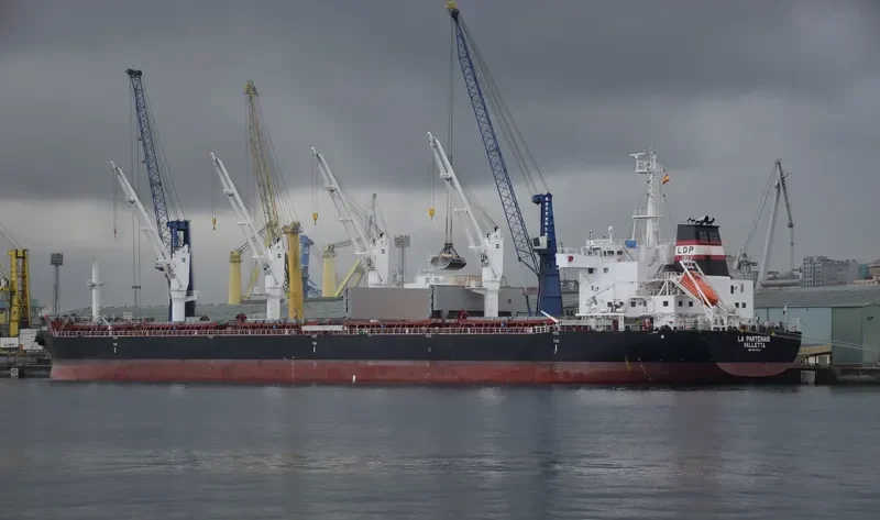 LA PARTENAIS Bulk Carrier IMO 9691046 photo 4