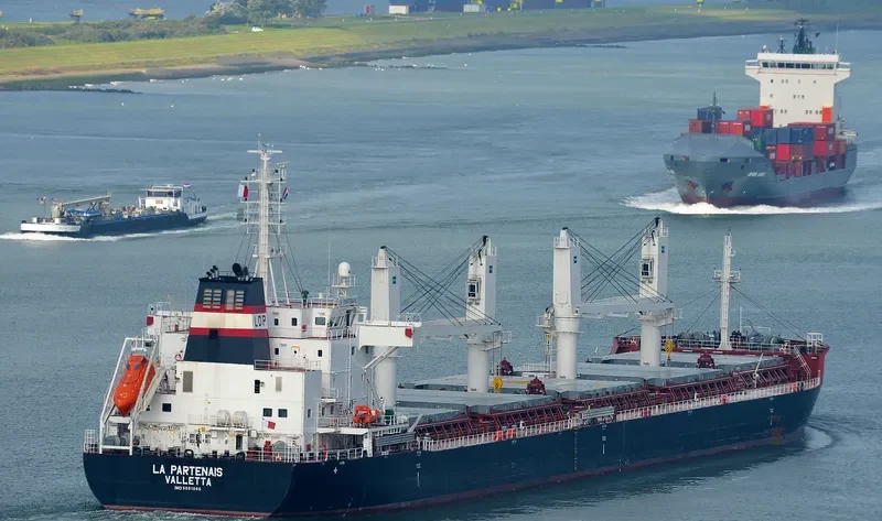 LA PARTENAIS Bulk Carrier IMO 9691046 photo 6