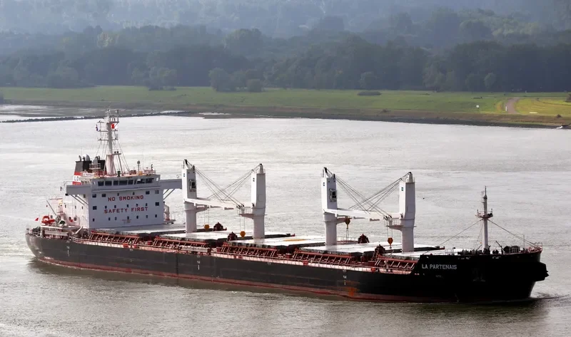 LA PARTENAIS Bulk Carrier IMO 9691046 photo 7