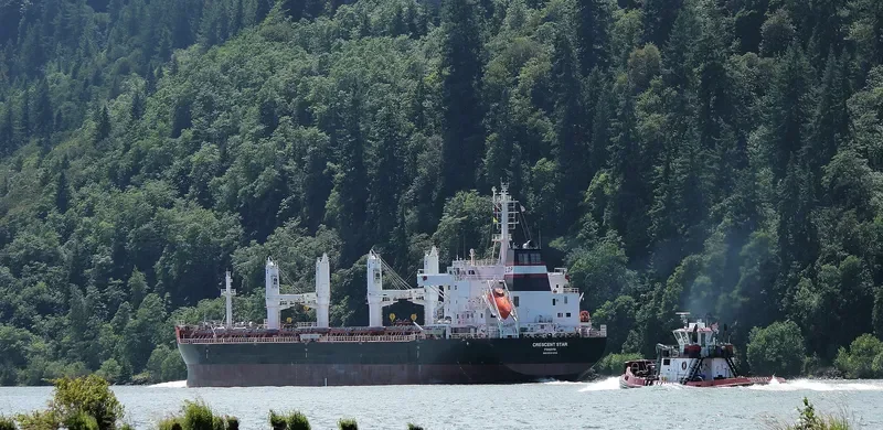LA PARTENAIS Bulk Carrier IMO 9691046 photo 9