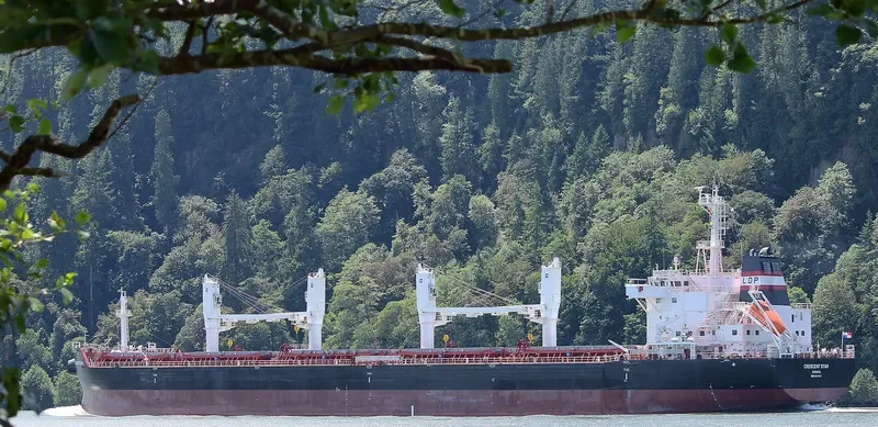 LA PARTENAIS Bulk Carrier IMO 9691046 photo 10