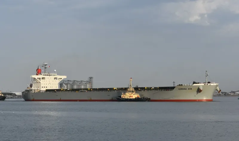 CORONA ACE Bulk Carrier IMO 9691527 photo 2