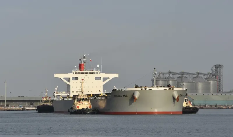 CORONA ACE Bulk Carrier IMO 9691527 photo 3