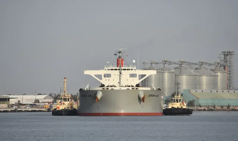CORONA ACE Bulk Carrier IMO 9691527 photo 4