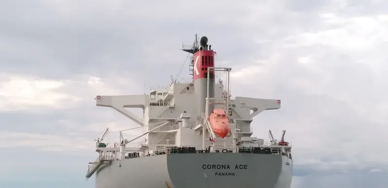 CORONA ACE Bulk Carrier IMO 9691527 photo 5