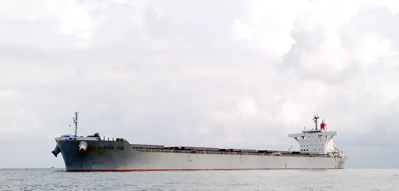 CORONA ACE Bulk Carrier IMO 9691527 photo 6