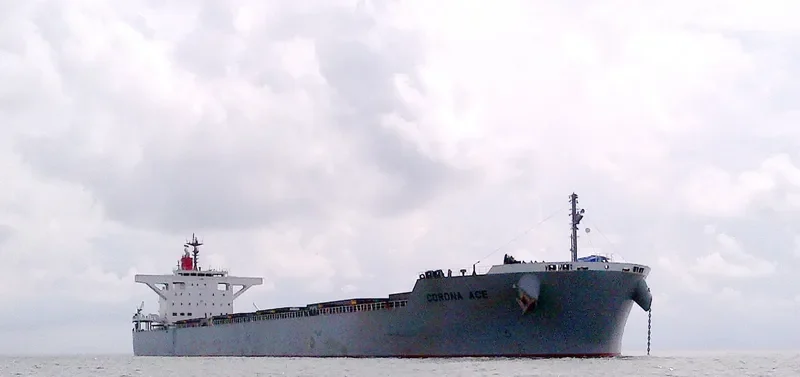 CORONA ACE Bulk Carrier IMO 9691527 photo 7