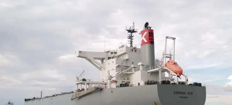 CORONA ACE Bulk Carrier IMO 9691527 photo 8
