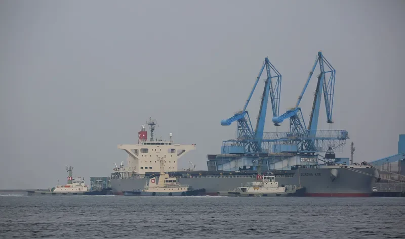 CORONA ACE Bulk Carrier IMO 9691527 photo 9