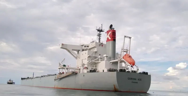 CORONA ACE Bulk Carrier IMO 9691527 photo 10