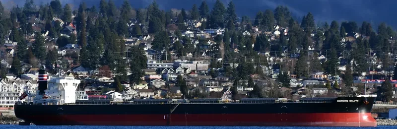 MORNING SALUTE Bulk Carrier IMO 9691539 photo 2