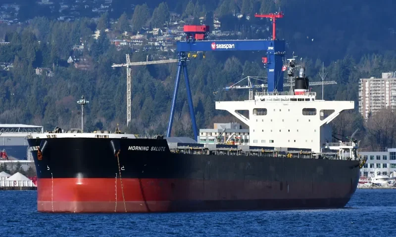 MORNING SALUTE Bulk Carrier IMO 9691539 photo 3