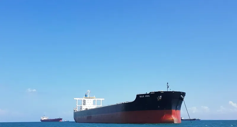 TRUE CARTIER Bulk Carrier IMO 9691553 photo 4