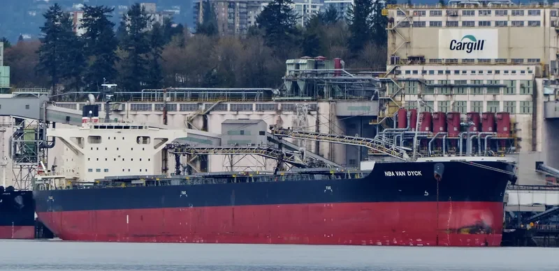 NBA VAN DYCK Bulk Carrier IMO 9691565 photo 5
