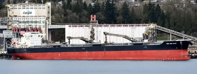 NBA VAN DYCK Bulk Carrier IMO 9691565 photo 7