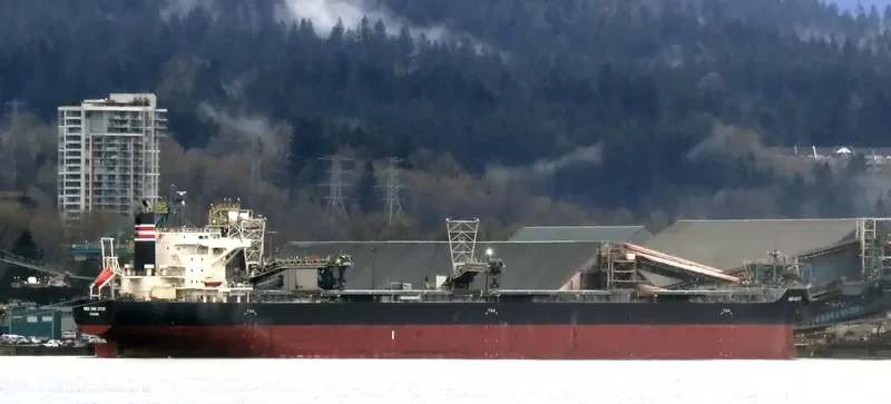 NBA VAN DYCK Bulk Carrier IMO 9691565 photo 9
