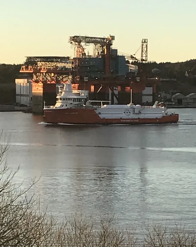 WITH HARVEST General Cargo IMO 9692117 photo 3
