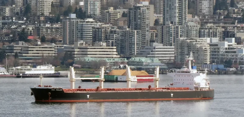 VSC POLLUX Bulk Carrier IMO 9692650 photo 4