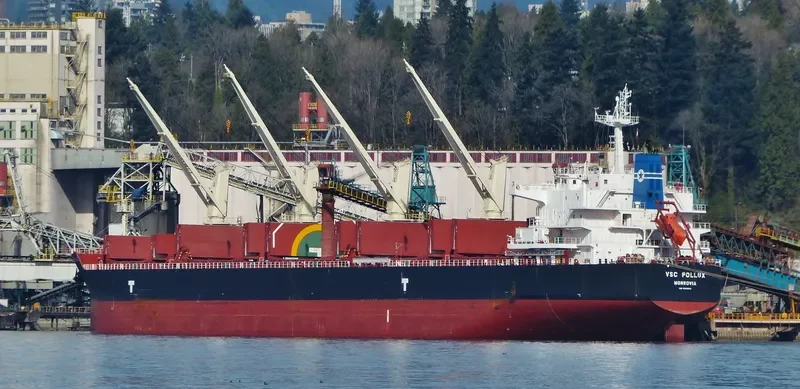 VSC POLLUX Bulk Carrier IMO 9692650 photo 6