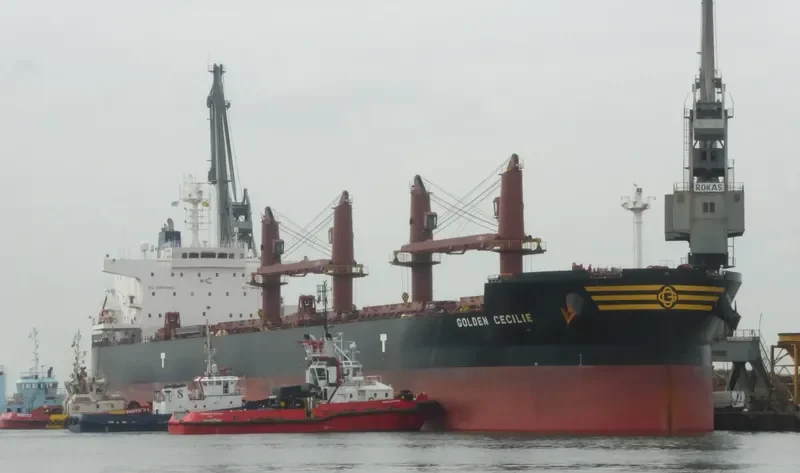 GOLDEN CECILIE Bulk Carrier IMO 9692662 photo 2