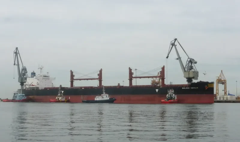 GOLDEN CECILIE Bulk Carrier IMO 9692662 photo 3