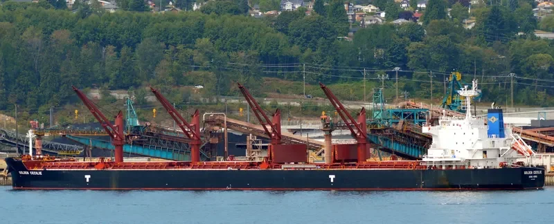 GOLDEN CECILIE Bulk Carrier IMO 9692662 photo 4