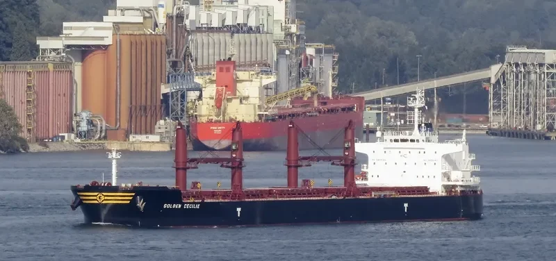 GOLDEN CECILIE Bulk Carrier IMO 9692662 photo 5