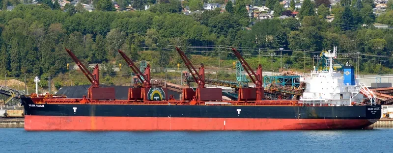 GOLDEN CECILIE Bulk Carrier IMO 9692662 photo 6