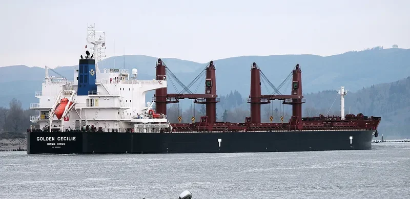 GOLDEN CECILIE Bulk Carrier IMO 9692662 photo 7
