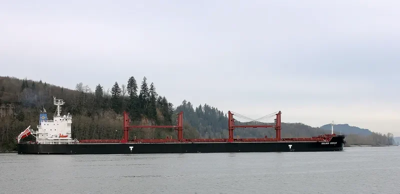 GOLDEN CECILIE Bulk Carrier IMO 9692662 photo 8