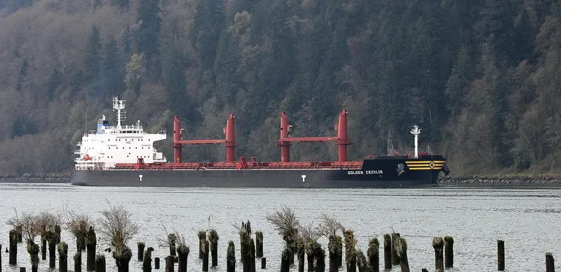GOLDEN CECILIE Bulk Carrier IMO 9692662 photo 9