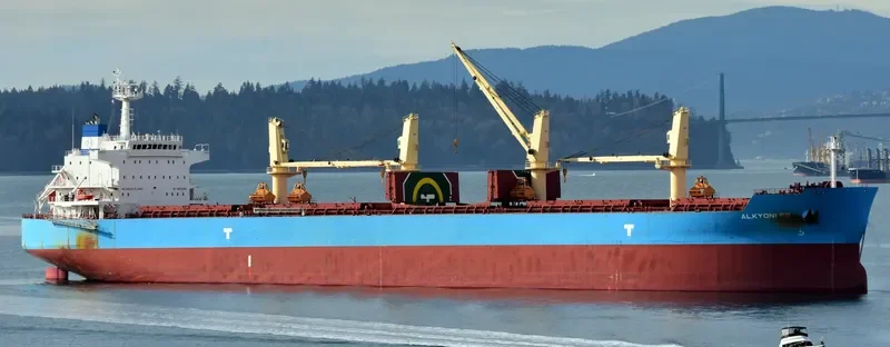 ALKYONI SB Bulk Carrier IMO 9692703 photo 6