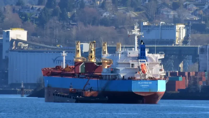 ALKYONI SB Bulk Carrier IMO 9692703 photo 8