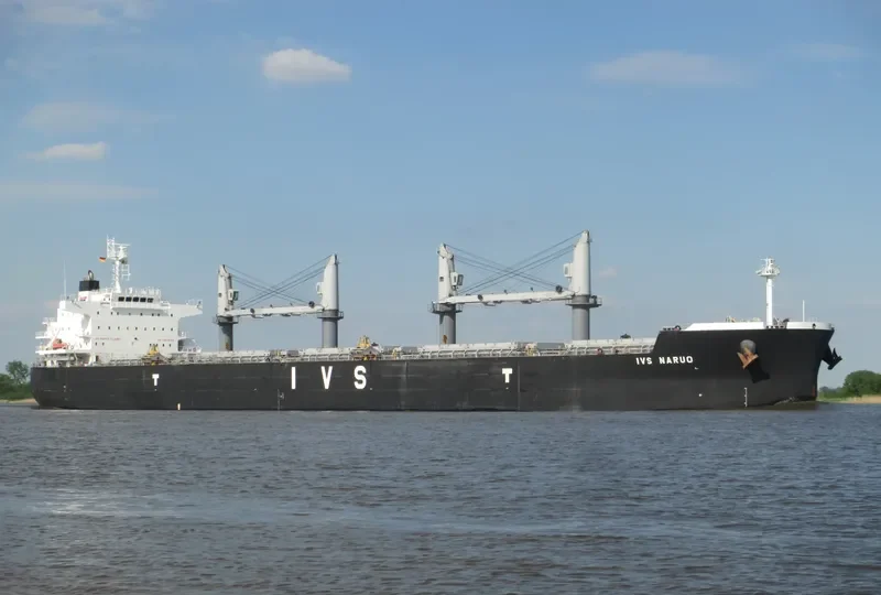 IVS NARUO Bulk Carrier IMO 9692715 photo 2