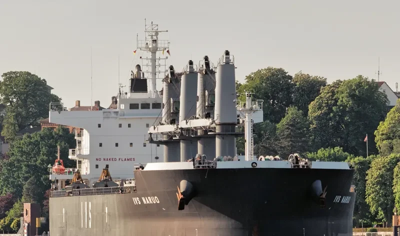 IVS NARUO Bulk Carrier IMO 9692715 photo 3