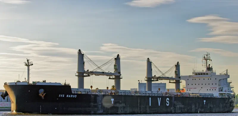 IVS NARUO Bulk Carrier IMO 9692715 photo 4