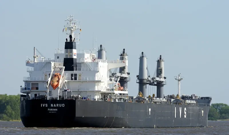 IVS NARUO Bulk Carrier IMO 9692715 photo 5