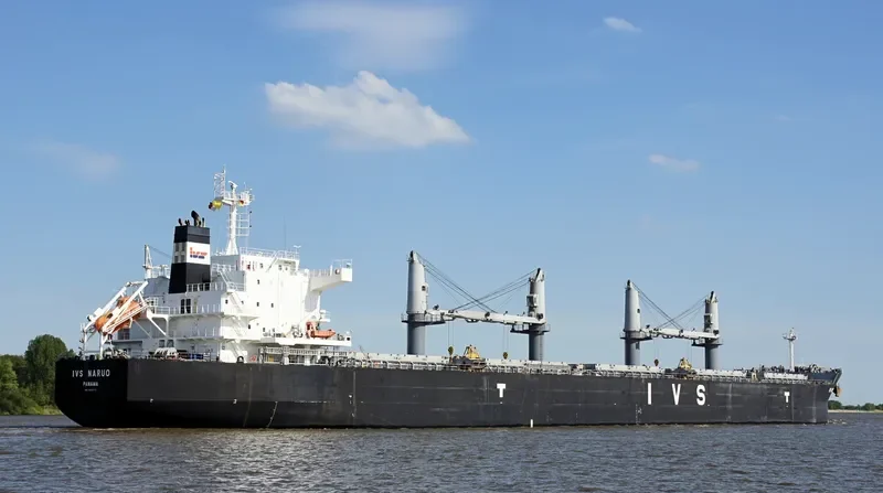IVS NARUO Bulk Carrier IMO 9692715 photo 6