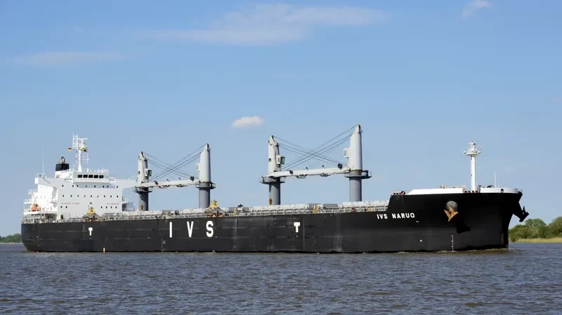 IVS NARUO Bulk Carrier IMO 9692715 photo 7