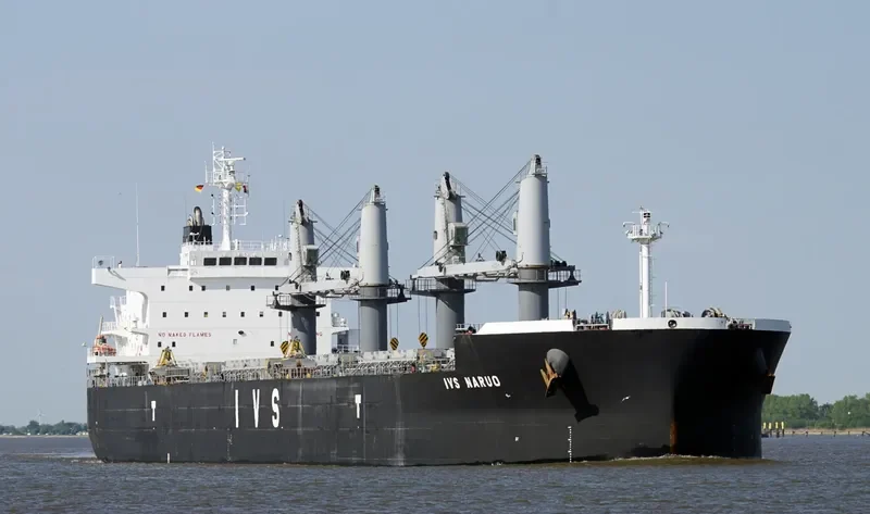IVS NARUO Bulk Carrier IMO 9692715 photo 8
