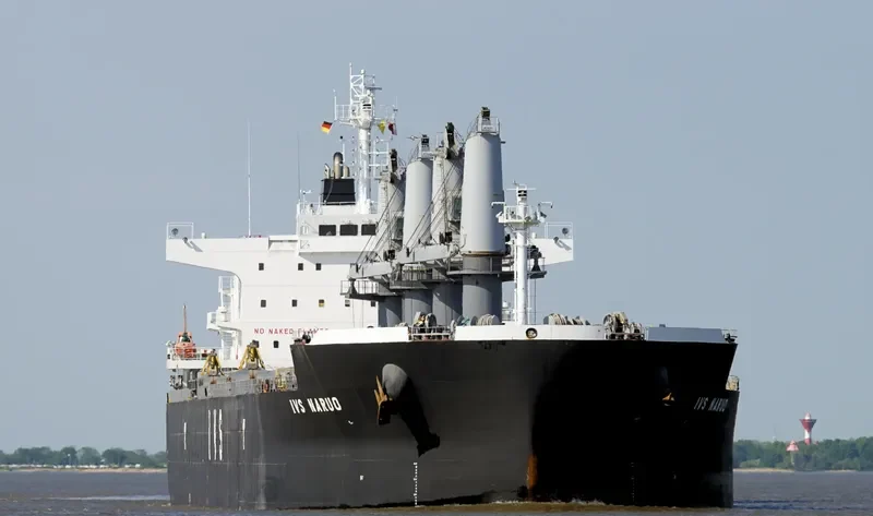 IVS NARUO Bulk Carrier IMO 9692715 photo 9