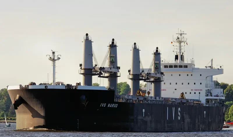 IVS NARUO Bulk Carrier IMO 9692715 photo 10