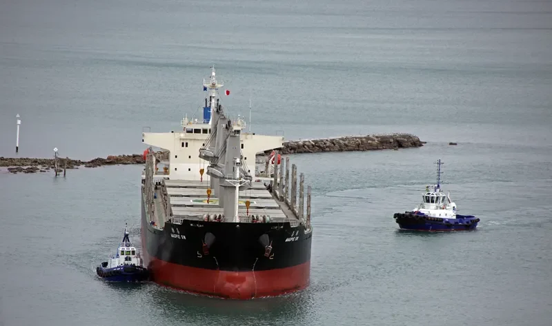 MAGPIE SW Bulk Carrier IMO 9692739 photo 5
