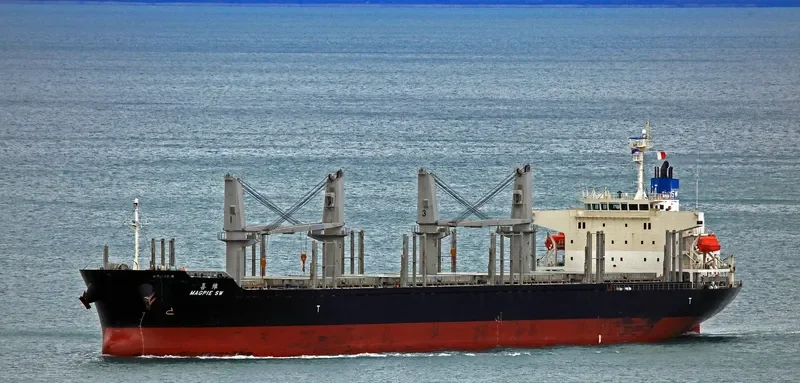 MAGPIE SW Bulk Carrier IMO 9692739 photo 7