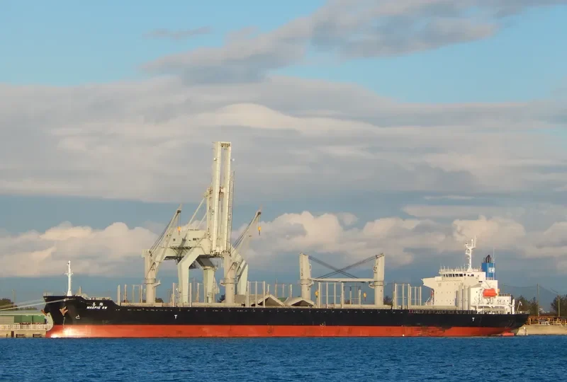 MAGPIE SW Bulk Carrier IMO 9692739 photo 8