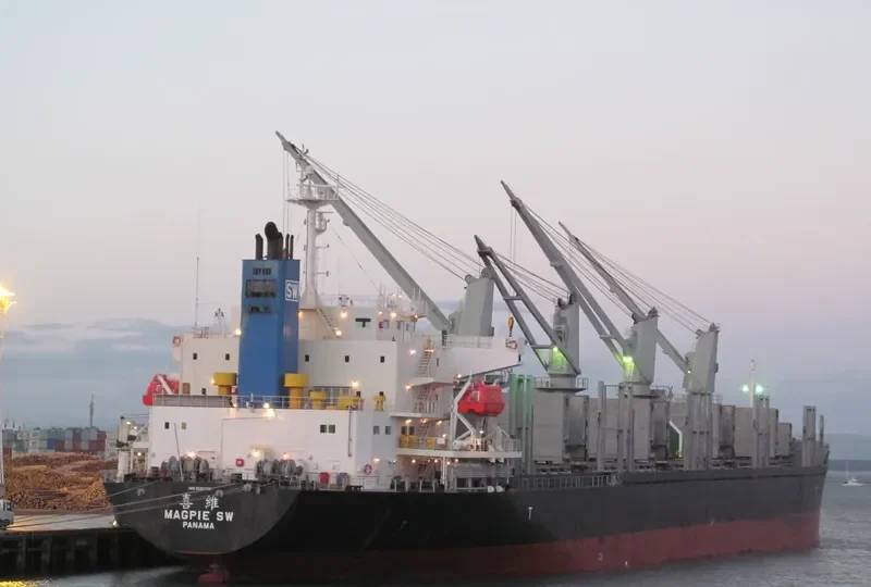 MAGPIE SW Bulk Carrier IMO 9692739 photo 9