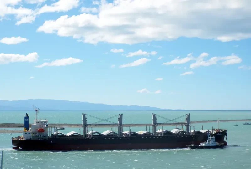 MAGPIE SW Bulk Carrier IMO 9692739 photo 10