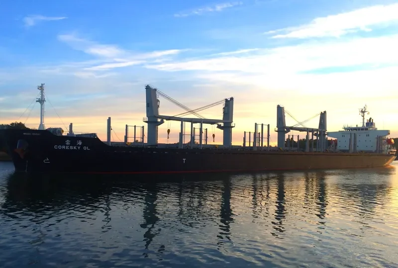 CORESKY OL Bulk Carrier IMO 9692741 photo 6