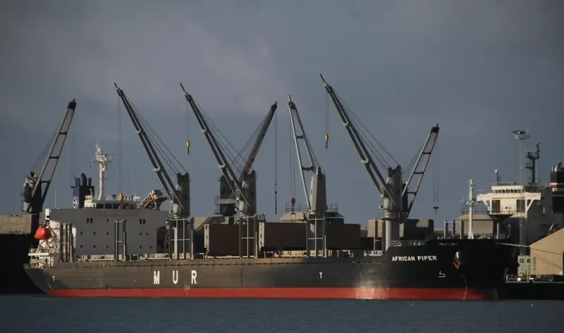 AFRICAN PIPER Bulk Carrier IMO 9692777 photo 9