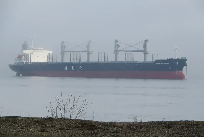 AFRICAN PIPER Bulk Carrier IMO 9692777 photo 10